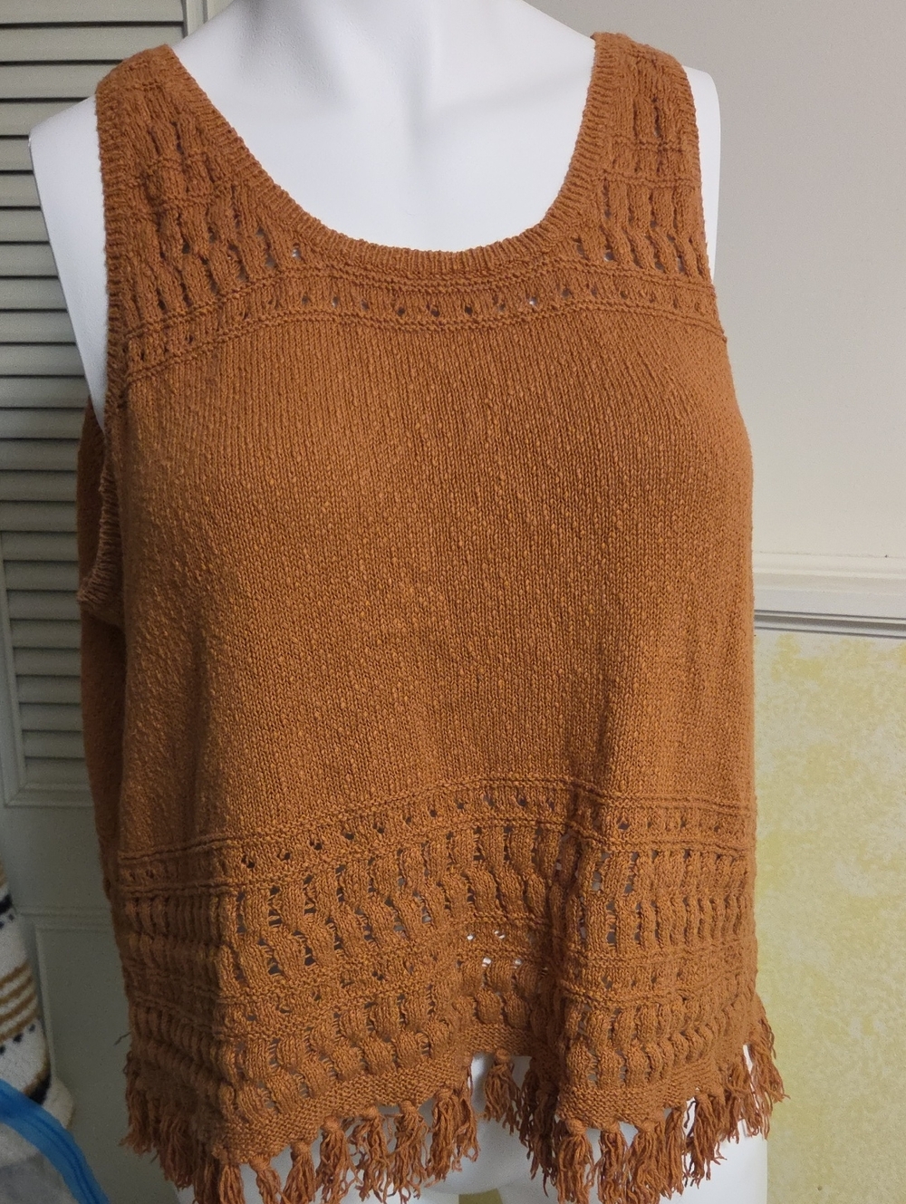 a.n.a Rust Knit Fringe Tank Top